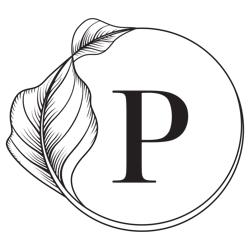 Logo for Prototype