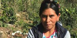 Women of Huehue: Anita Ramirez Perez coffee beans.