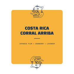 Costa Rica Corral Arriba coffee beans
