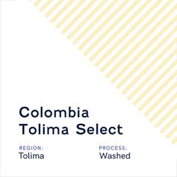Colombia Tolima Select coffee beans.
