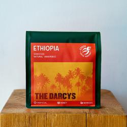 Ethiopia Shakisso Darcys Anaerobic coffee beans.