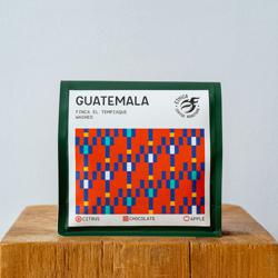 Guatemala Finca El Tempixque Washed coffee beans