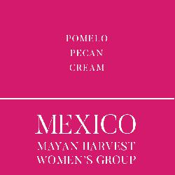 Chiapas Mayan Harvest Women's Group coffee beans.