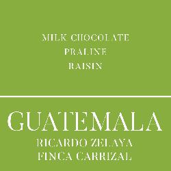 Guatemala Ricardo Zelaya Carrizal coffee beans.