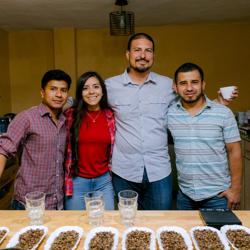 Guatemala Primos Unidos coffee beans.