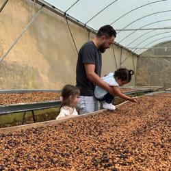 COSTA RICA • DON MARIANO • GESHA & SL28 coffee beans.