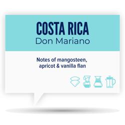 COSTA RICA • DON MARIANO • GESHA coffee beans.