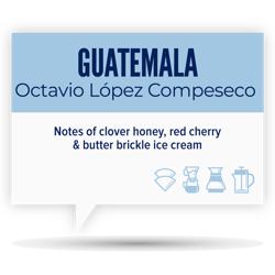 GUATEMALA • OCTAVIO LÓPEZ COMPESECO coffee beans.