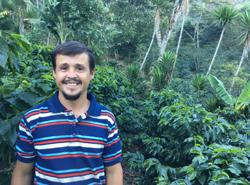Honduras - Isaias Fernandez | Parainema - Honey coffee beans