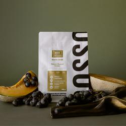 Cerro Azul—Hybrid Washed Geisha coffee beans.