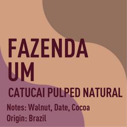 Brazil Fazenda Um Catucai Pulped Natural coffee beans.
