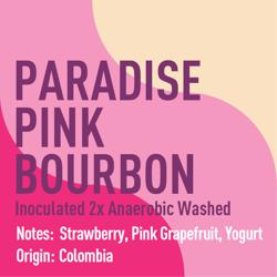 Colombia Paradise Pink Bourbon Inoculated Anaerobic Washed coffee beans.