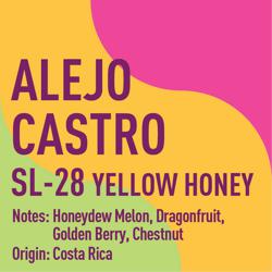 Costa Rica Alejo Castro SL-28 Yellow Honey coffee beans.
