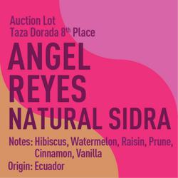 Ecuador Angel Reyes Sidra Natural Auction Lot - Taza Dorada 8th Place coffee beans.