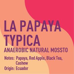Ecuador La Papaya Anaerobic Natural Mossto Typica coffee beans.