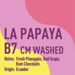 Ecuador La Papaya B7 Carbonic Macerated Washed coffee beans