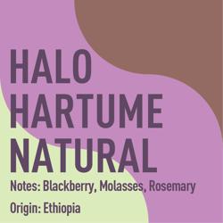 Ethiopia Halo Hartume Natural coffee beans.