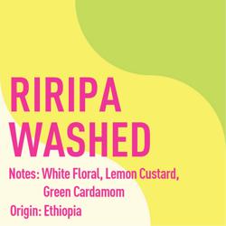 Ethiopia Nensebo Riripa Washed coffee beans.