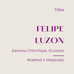 Ecuador Felipe Luzon, Washed Mejorado coffee beans