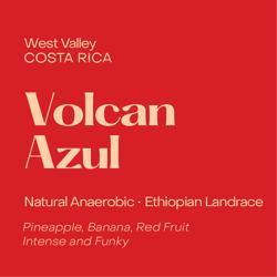 Volcan Azul coffee beans.