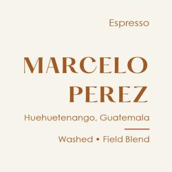 Guatemala Marcelo Perez Espresso, Washed Field Blend coffee beans.