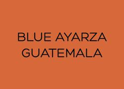 BLUE AYARZA - GUATEMALA coffee beans