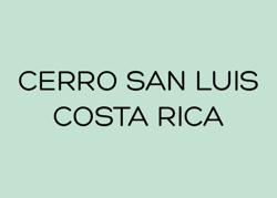 CERRO SAN LUIS - GEISHA - COSTA RICA coffee beans.