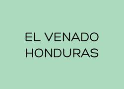 EL VENADO - HONDURAS coffee beans