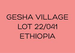 GESHA VILLAGE - SHEWA-JIBABU - LOT 22/041 - ETHIOPIA coffee beans.
