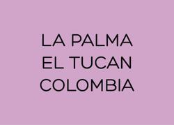 LA PALMA & EL TUCAN - JUAN DAVID GIRALDO - COLOMBIA coffee beans.