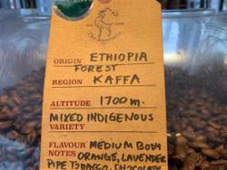 Ethiopia Forest Kaffa Organic coffee beans