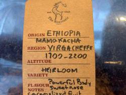Ethiopia Yergacheffee Mamokacha coffee beans