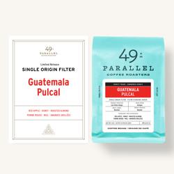 Guatemala Pulcal coffee beans.