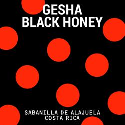 Las Lajas Gesha Black Honey coffee beans.