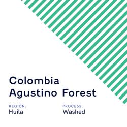 Colombia Agustino Forest AAA coffee beans