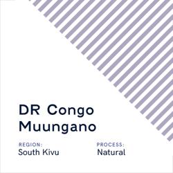 DR Congo Muungano coffee beans.
