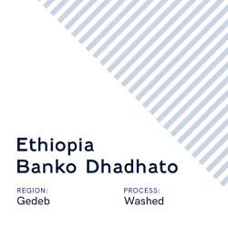 Ethiopia Banko Dhadhato coffee beans.