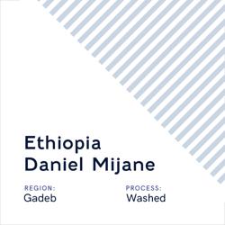 Ethiopia Daniel Mijane coffee beans.