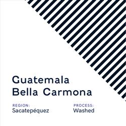Guatemala Bella Carmona coffee beans.