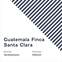 Guatemala Finca Santa Clara coffee beans.