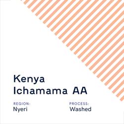 Kenya Ichamama AA Red Cherry Program coffee beans.