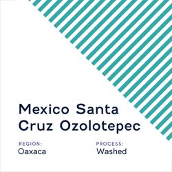 Mexico Santa Cruz Ozolotepec coffee beans