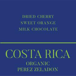 Costa Rica Organic Perez Zeledon coffee beans.