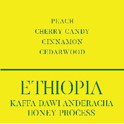 Ethiopia Kaffa Dawi Anderacha Honey Process coffee beans.