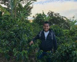 Gold Reserve: Colombia La Indonesia coffee beans