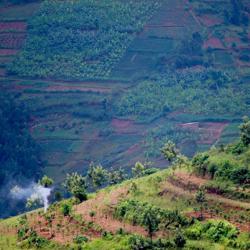 Rwanda Kinini Village coffee beans.