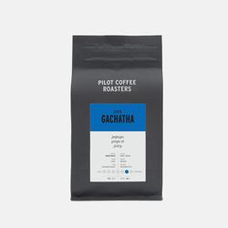 GACHATHA – KENYA coffee beans.