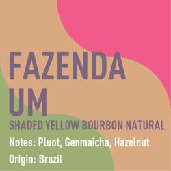 Brazil Fazenda Um Yellow Bourbon Shade-Grown Natural coffee beans.