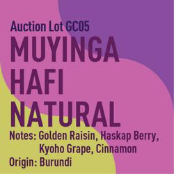 Burundi Muyinga Hafi Bourbon Natural Auction Lot GC05 coffee beans