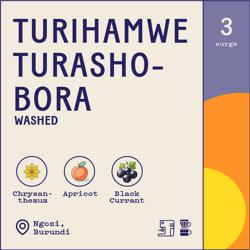 Burundi Ngozi Turihamwe Turashobora Washed coffee beans.